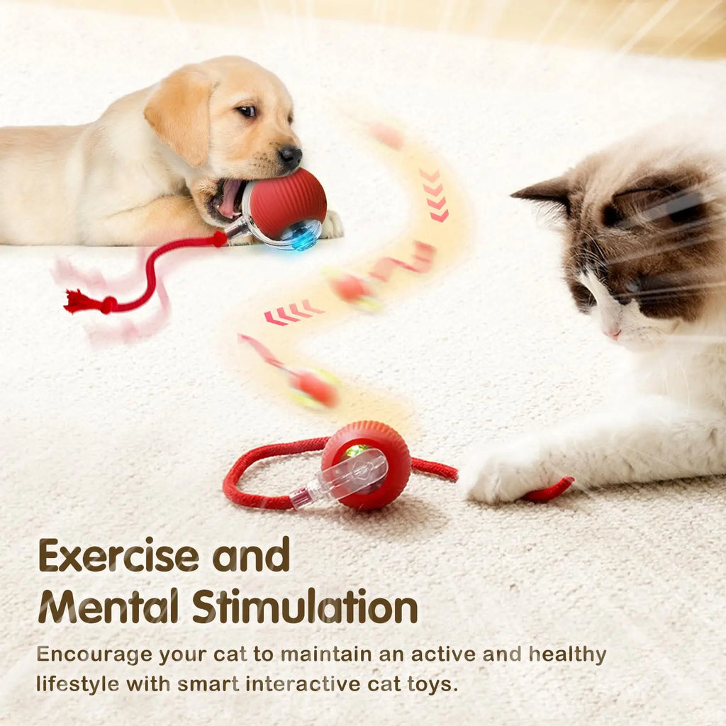 Smart Rolling Cat Toy Your Kitty Active & Happy!
