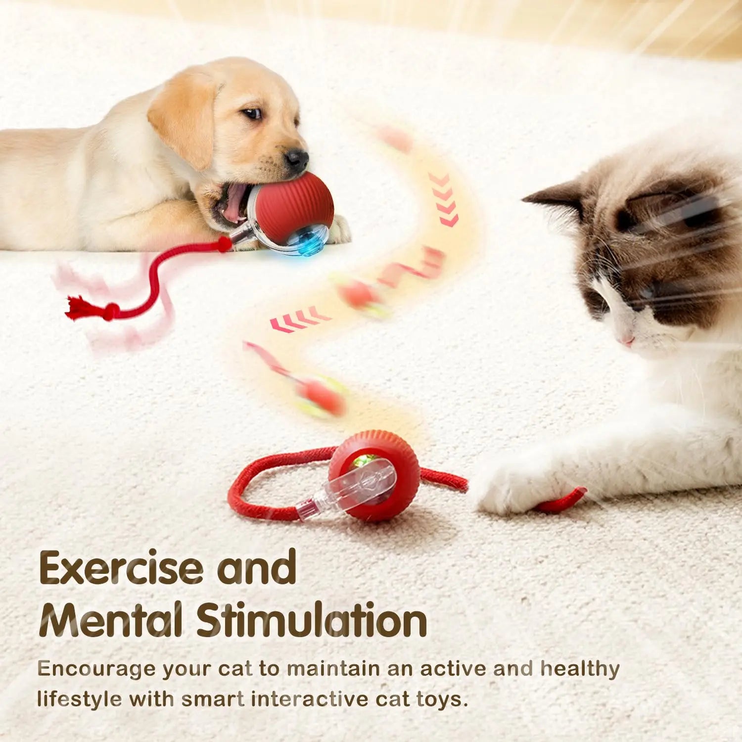 Smart Rolling Cat Toy Your Kitty Active & Happy!