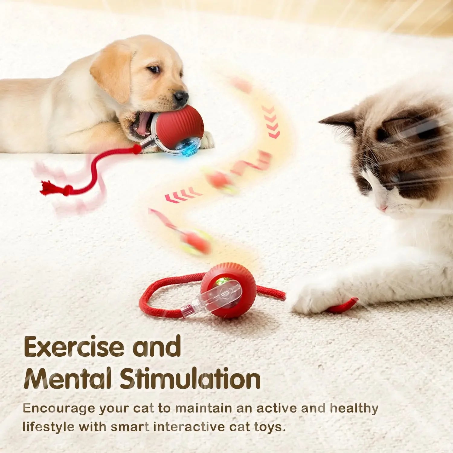 Smart Rolling Cat Toy Your Kitty Active & Happy!